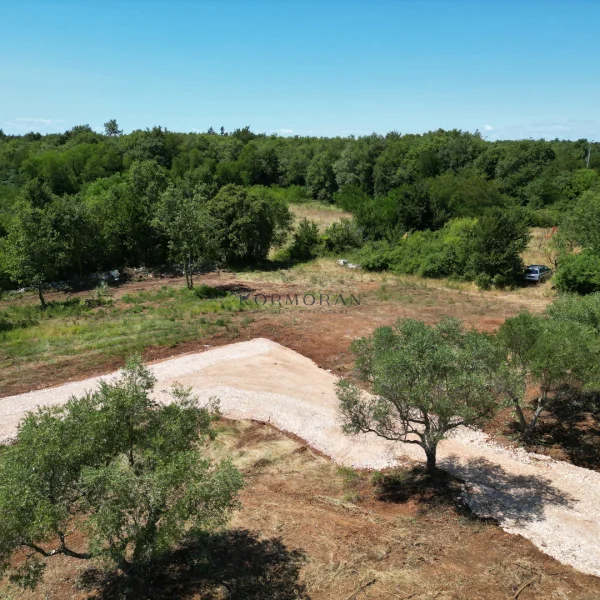 Prodaja, Zemljište, Građevinsko, Istarska županija, Brtonigla