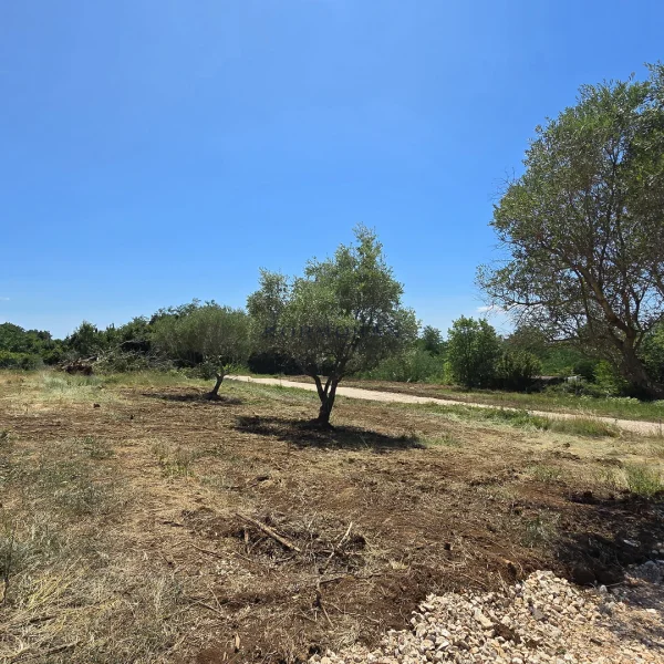 Prodaja, Zemljište, Građevinsko, Istarska županija, Brtonigla