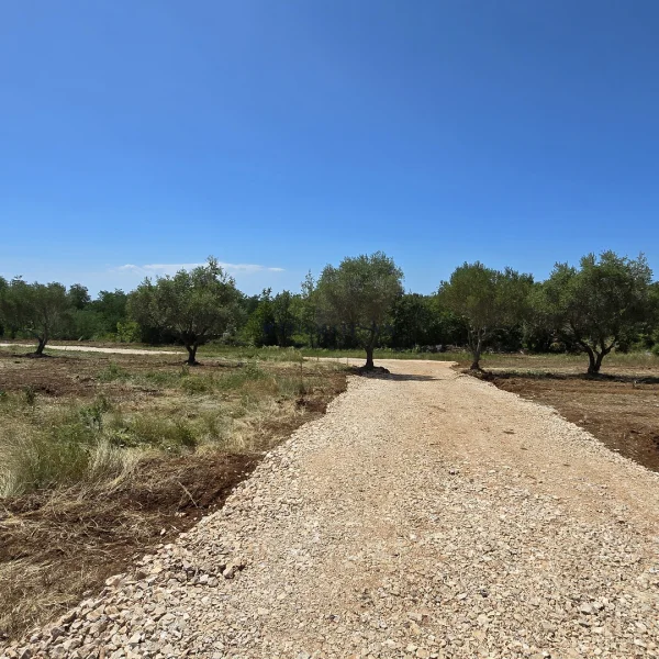 Prodaja, Zemljište, Građevinsko, Istarska županija, Brtonigla